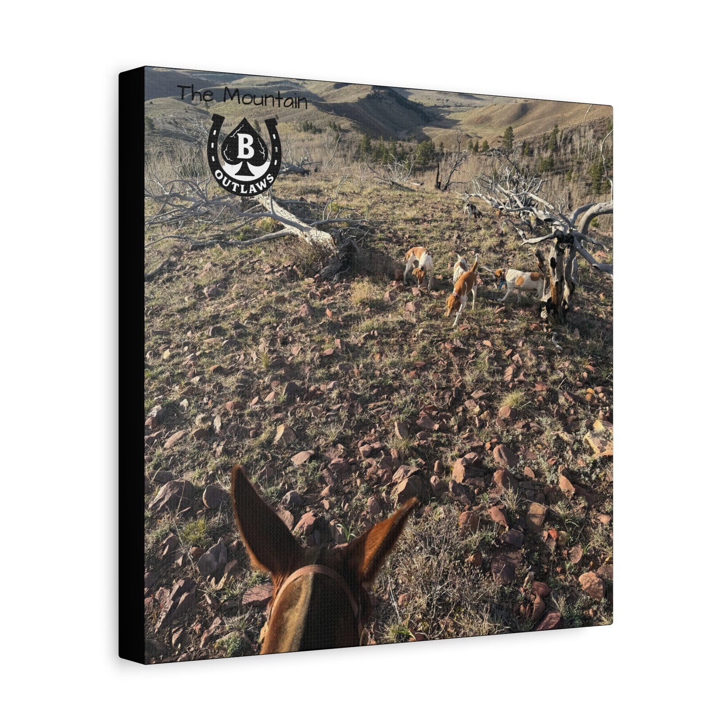 Below Timberline – The Mountain Collection