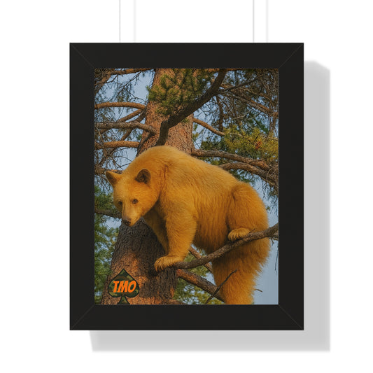 Black Bear in the Pines – Wild Backcountry Photo Print