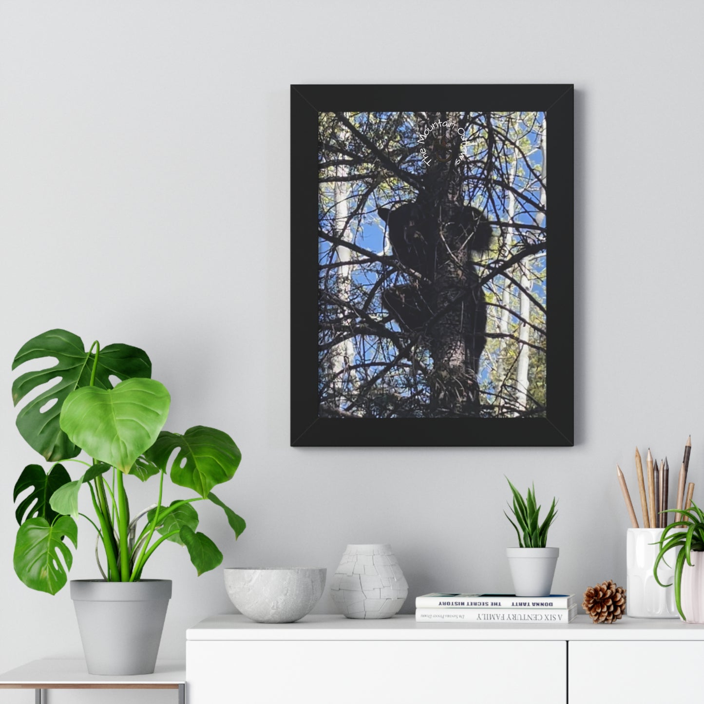 Crown of the Pines – Bear in the Canopy