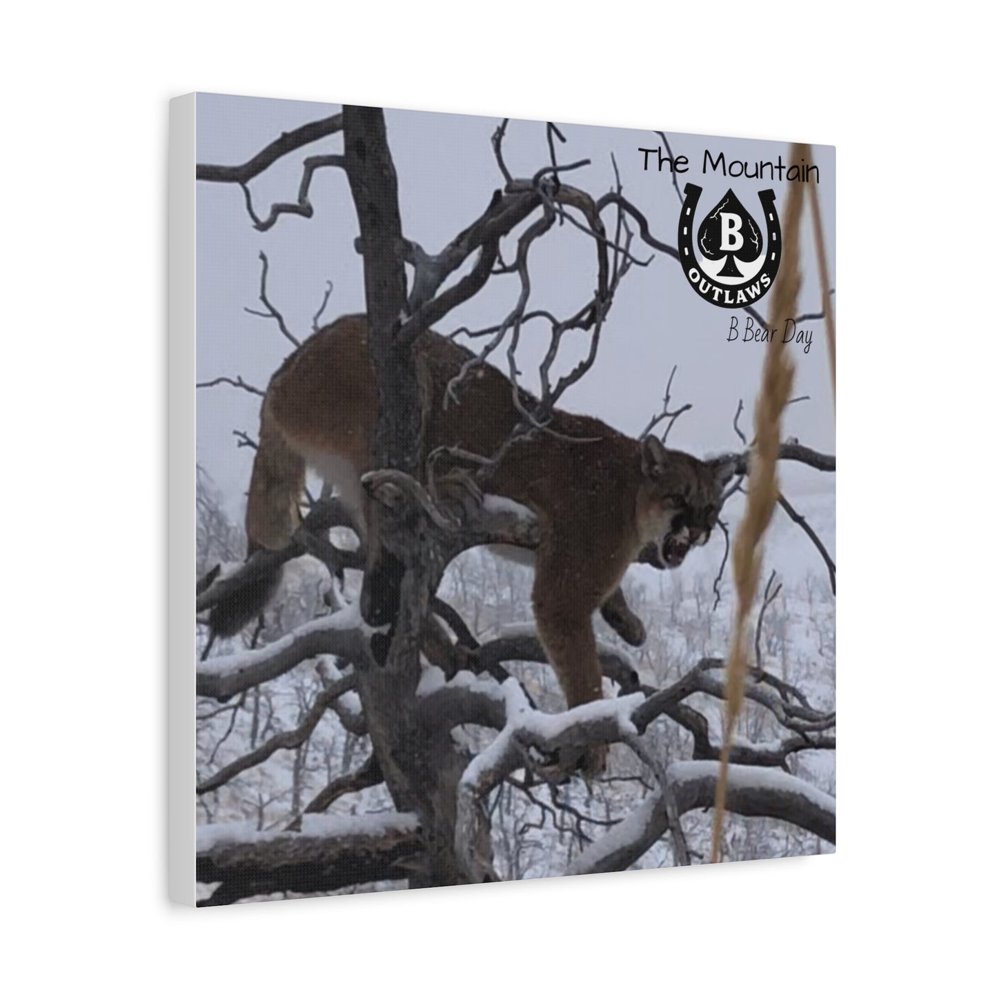The Watcher – Apex in the Silence