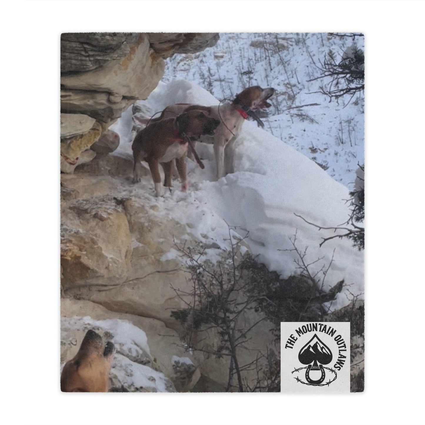 The Tree’d Bear Blanket – For the Ones Who Know the Sound of Grit Barkin’