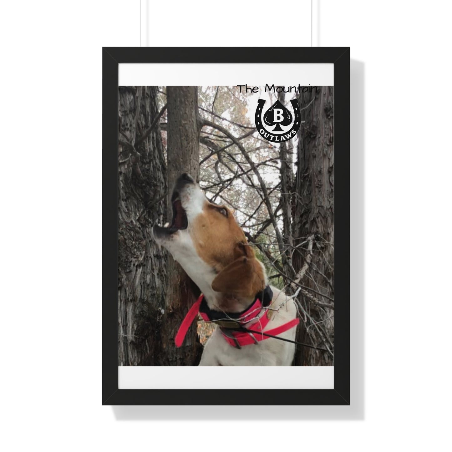 Speak the Tree – The Mountain Collection