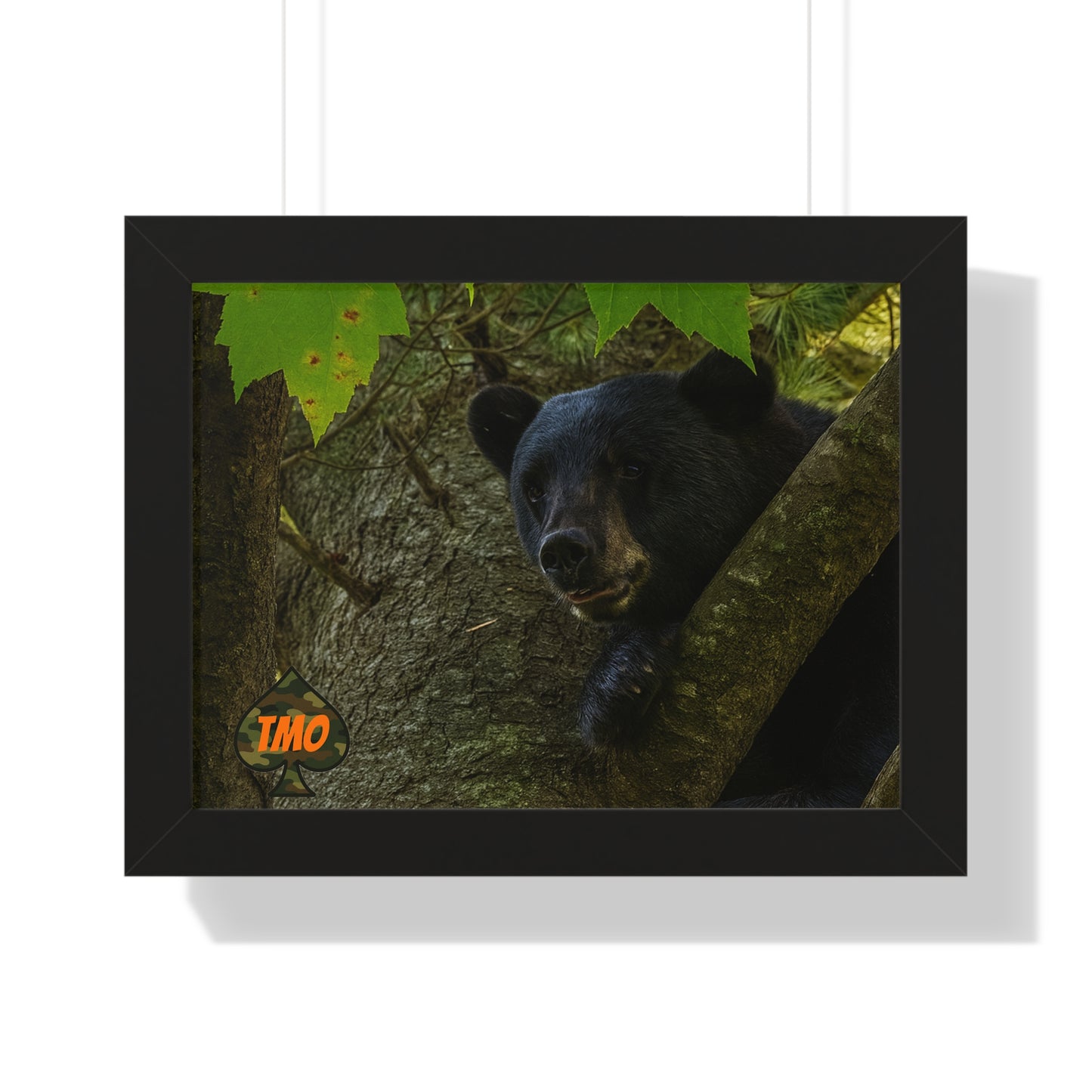 TMO Mountain Bear – Predator’s Rage Wall Art