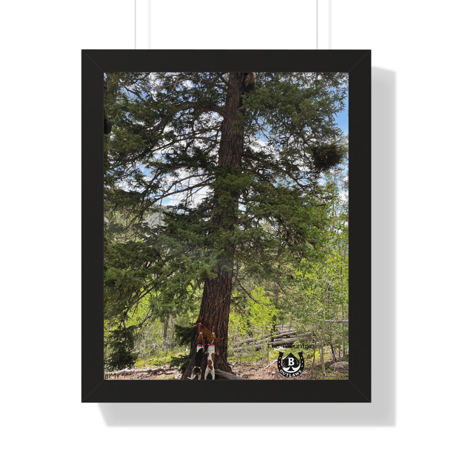 Tree Between Worlds – The Mountain Collection