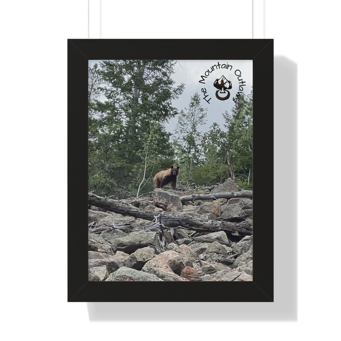 Deadwood Watch – Bear Country Static