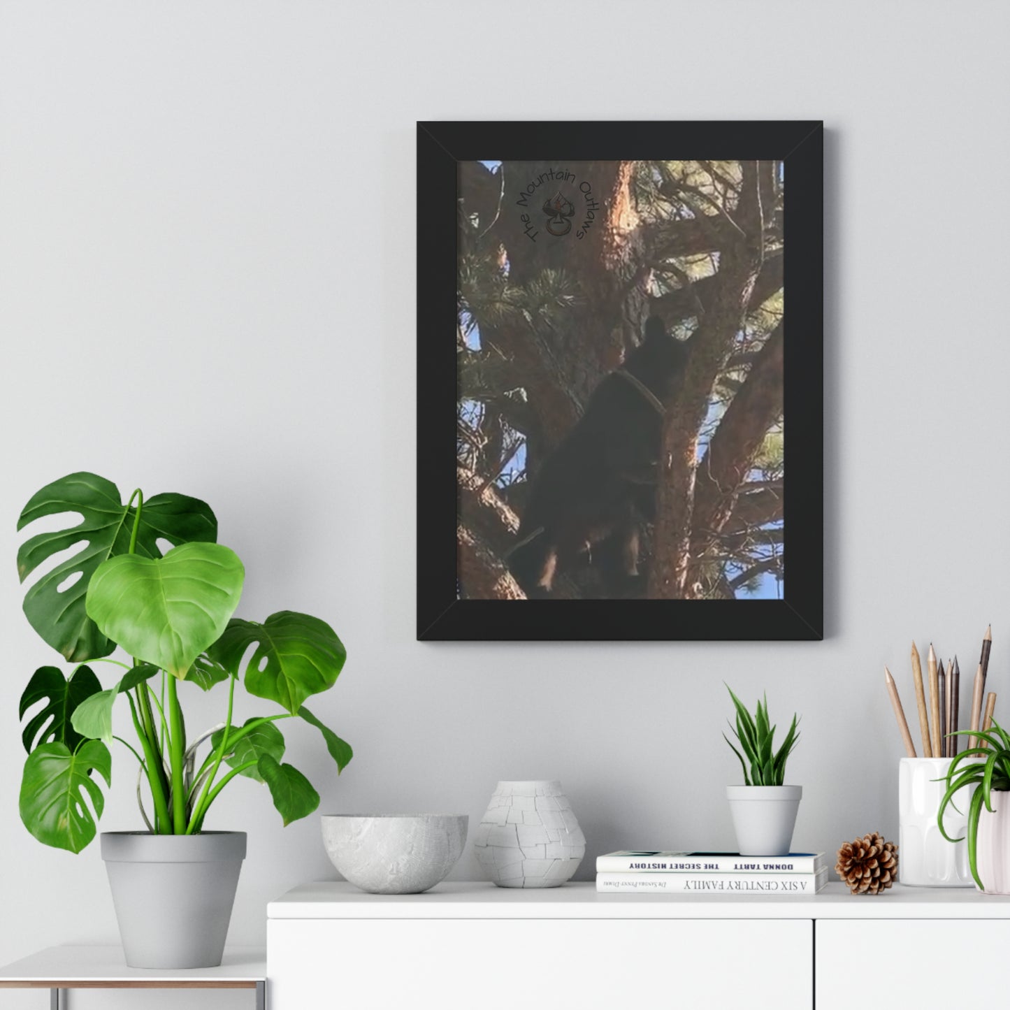 “Bear in the Pines” – No Escape, Just Altitude