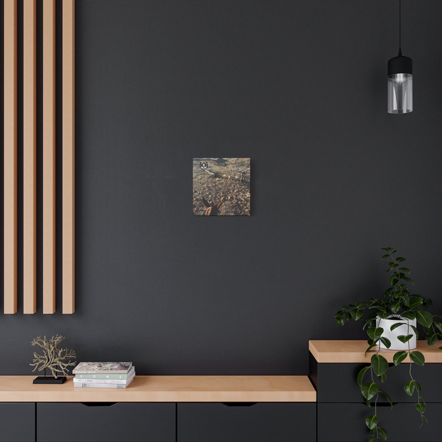 Below Timberline – The Mountain Collection