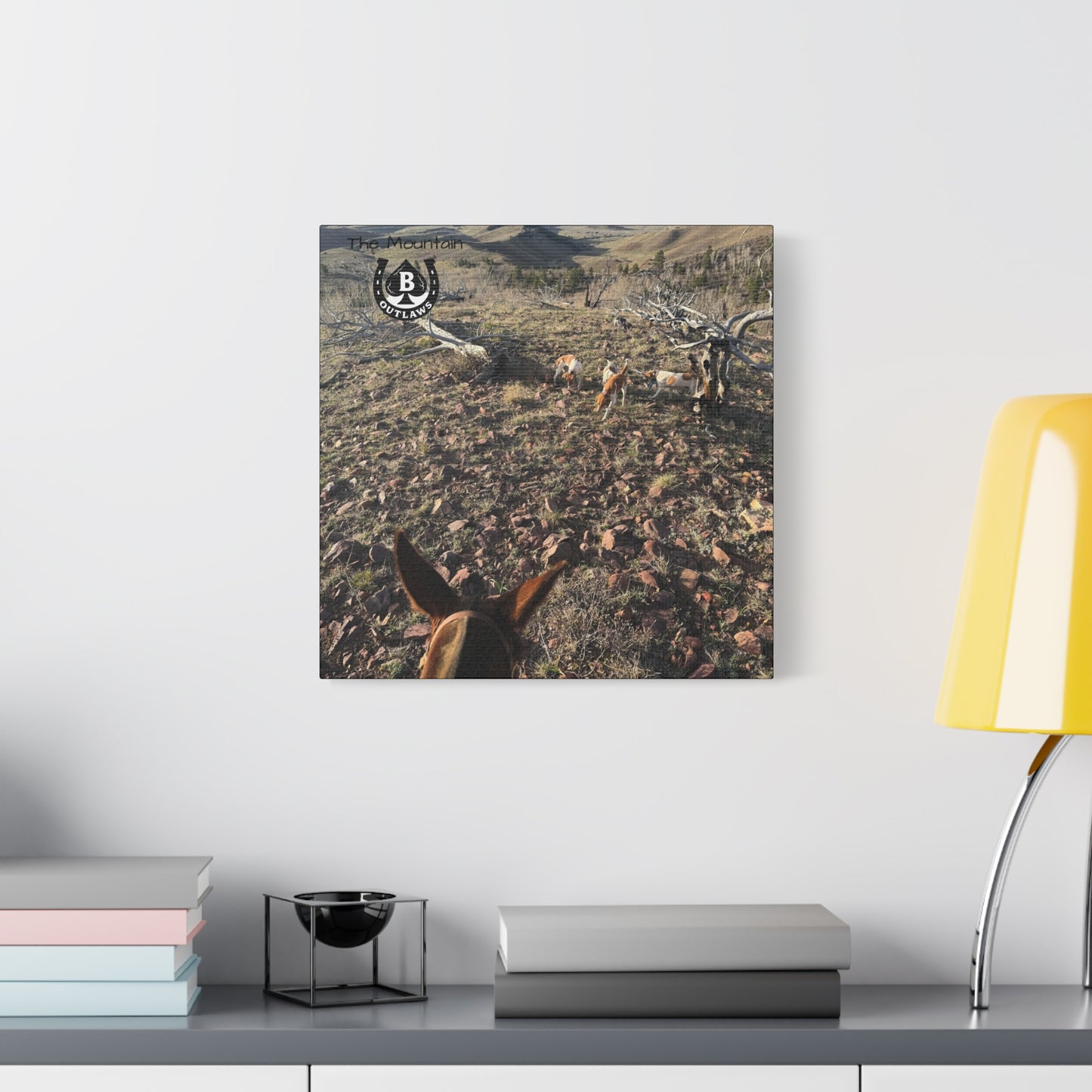Below Timberline – The Mountain Collection