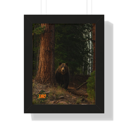 Bear in the Pines – Wild Backcountry Photo Print