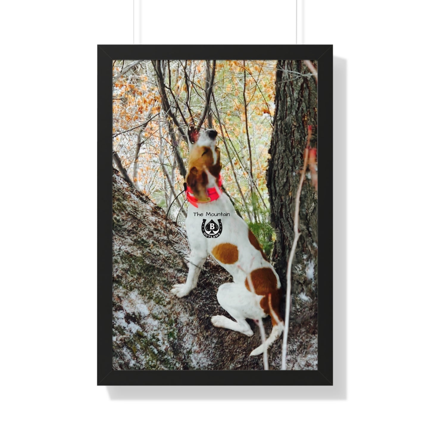 Hold the Tree – The Mountain Collection