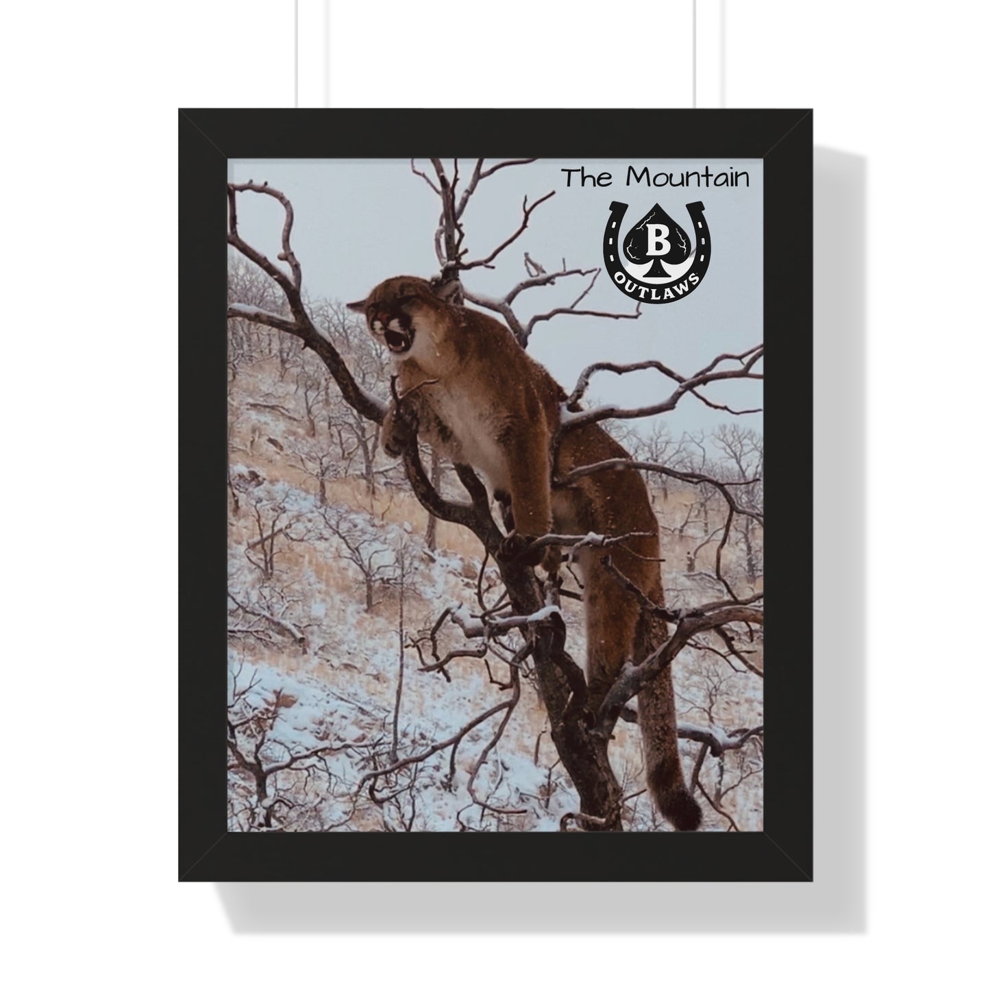Snarl High – The Mountain Collection