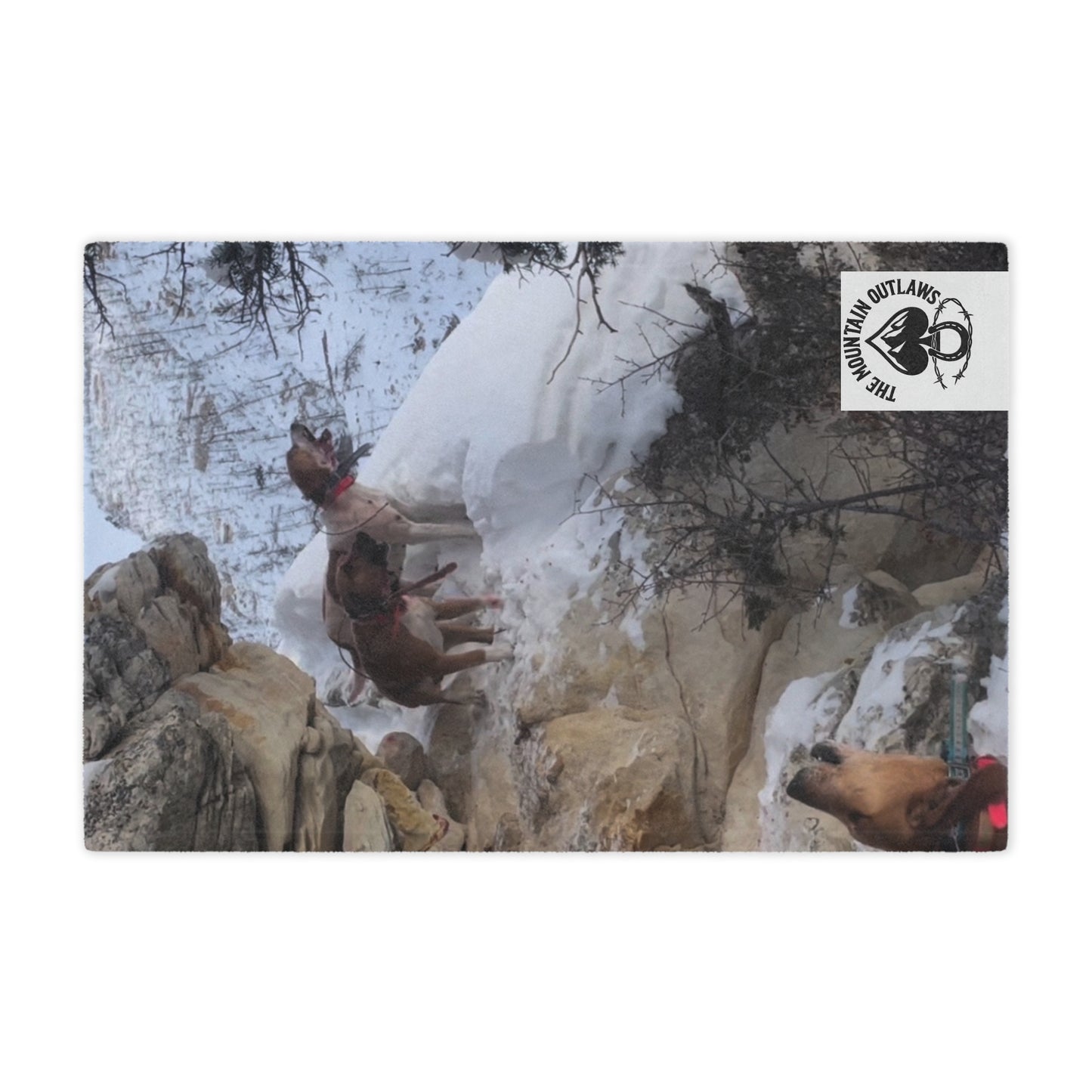 The Tree’d Bear Blanket – For the Ones Who Know the Sound of Grit Barkin’