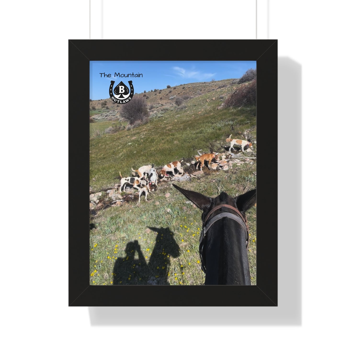 First Cut – The Mountain Collection