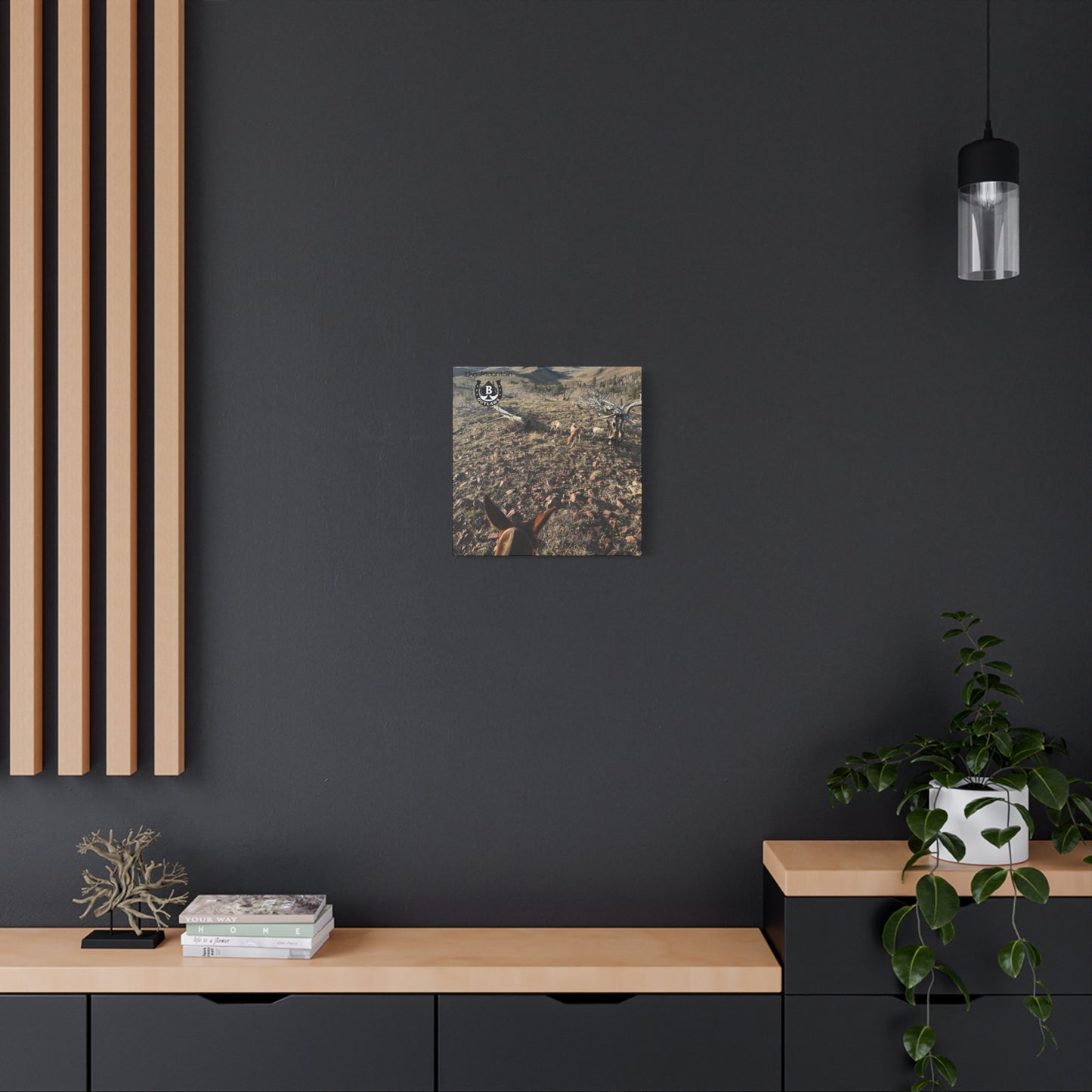 Below Timberline – The Mountain Collection