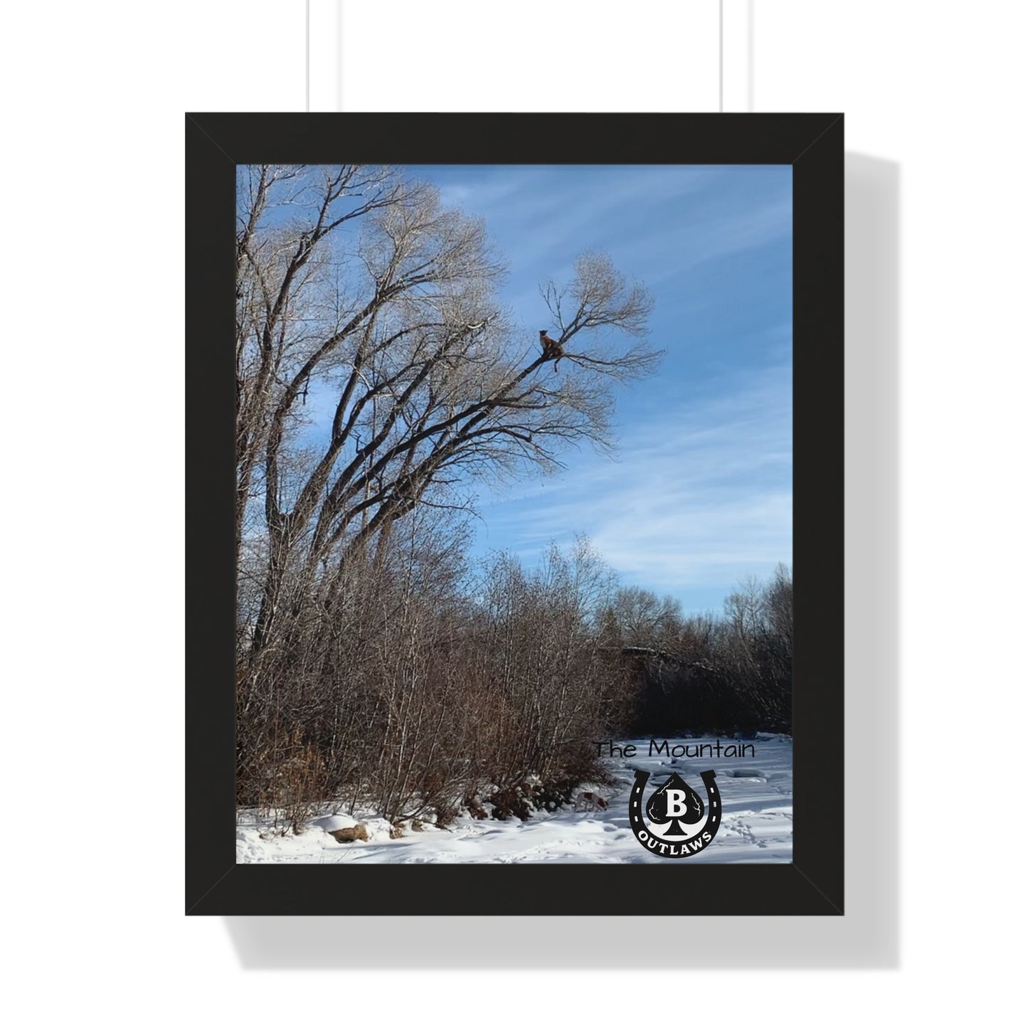 Watcher’s Tree – The Mountain Collection