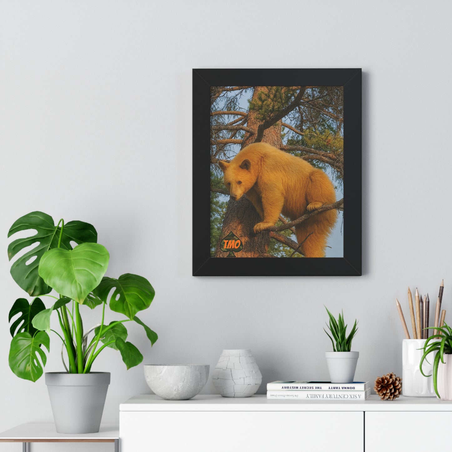 Black Bear in the Pines – Wild Backcountry Photo Print