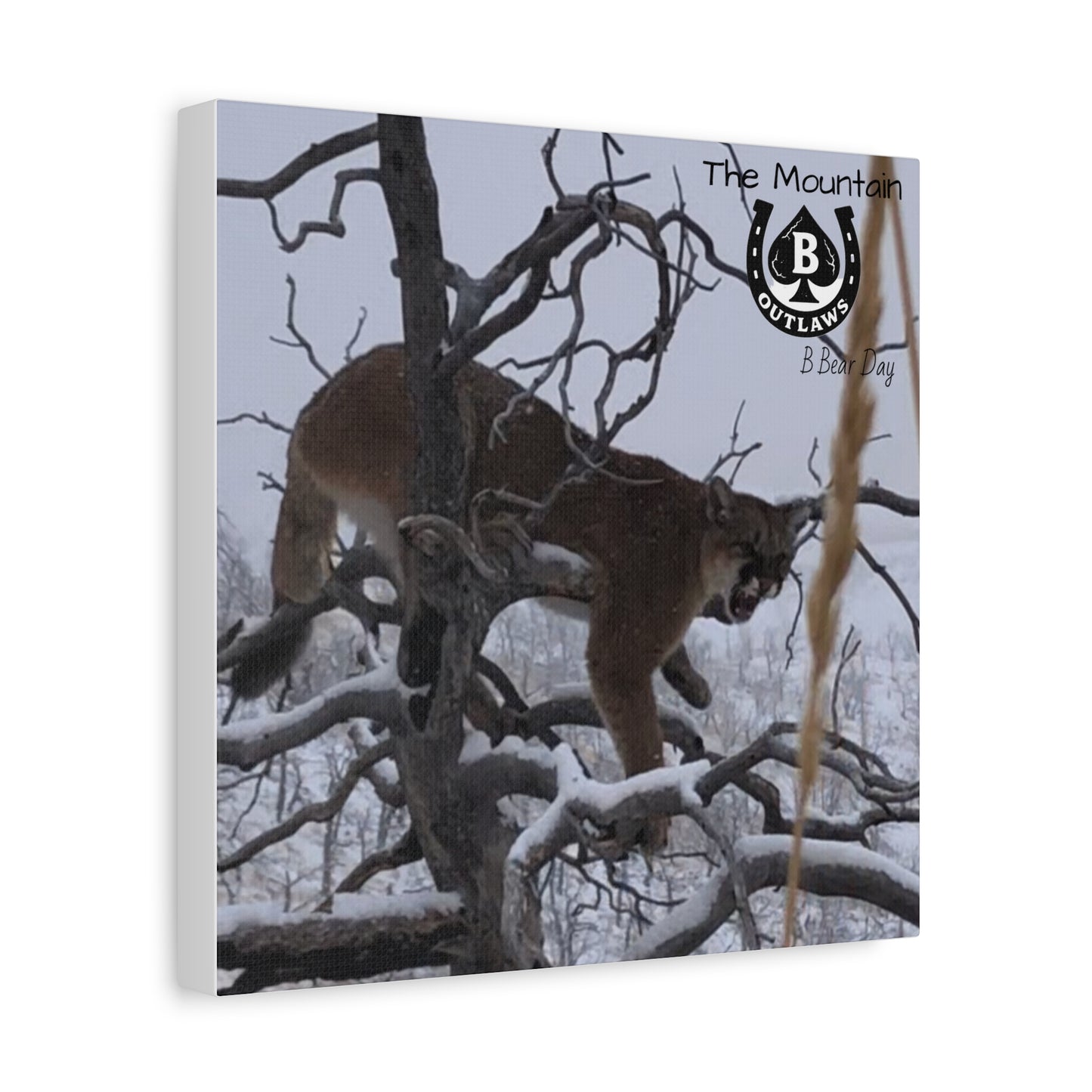 The Watcher – Apex in the Silence