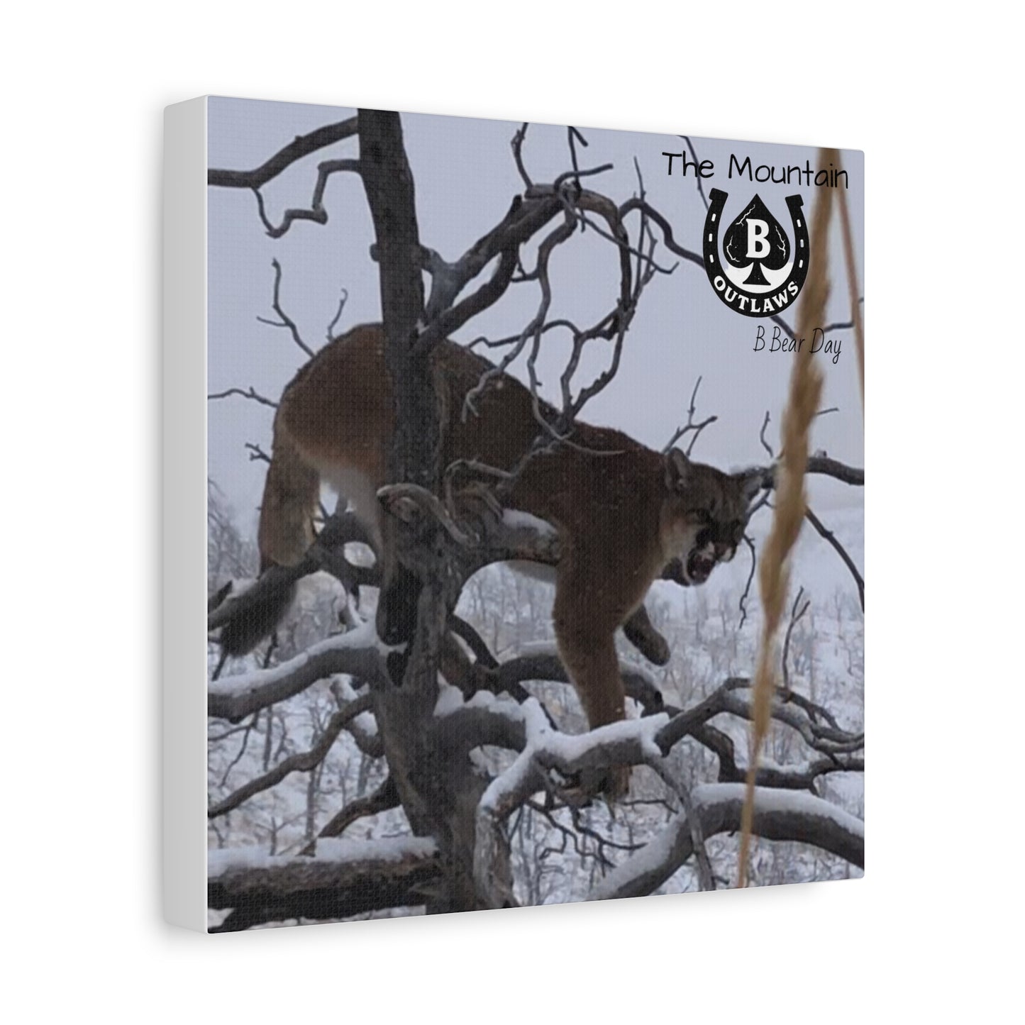 The Watcher – Apex in the Silence