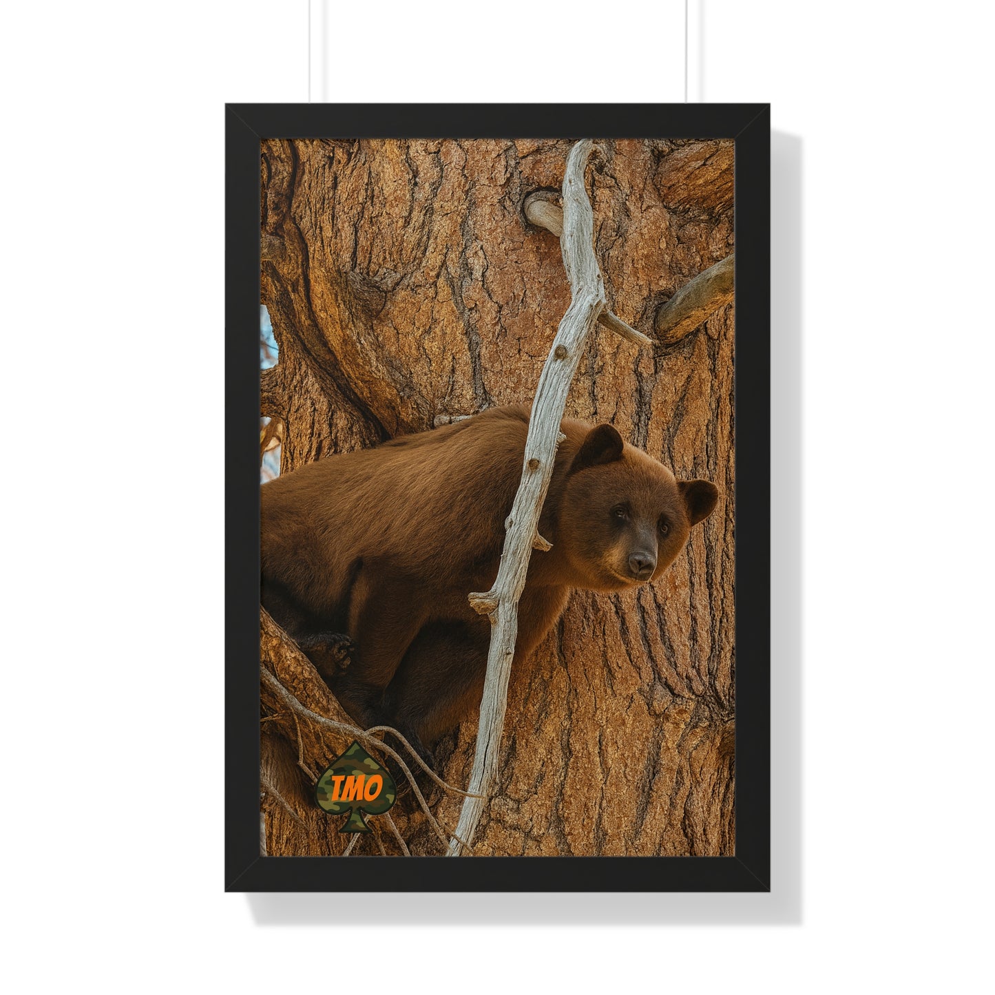 Tree Watcher – Wild Cinnamon Bear Print