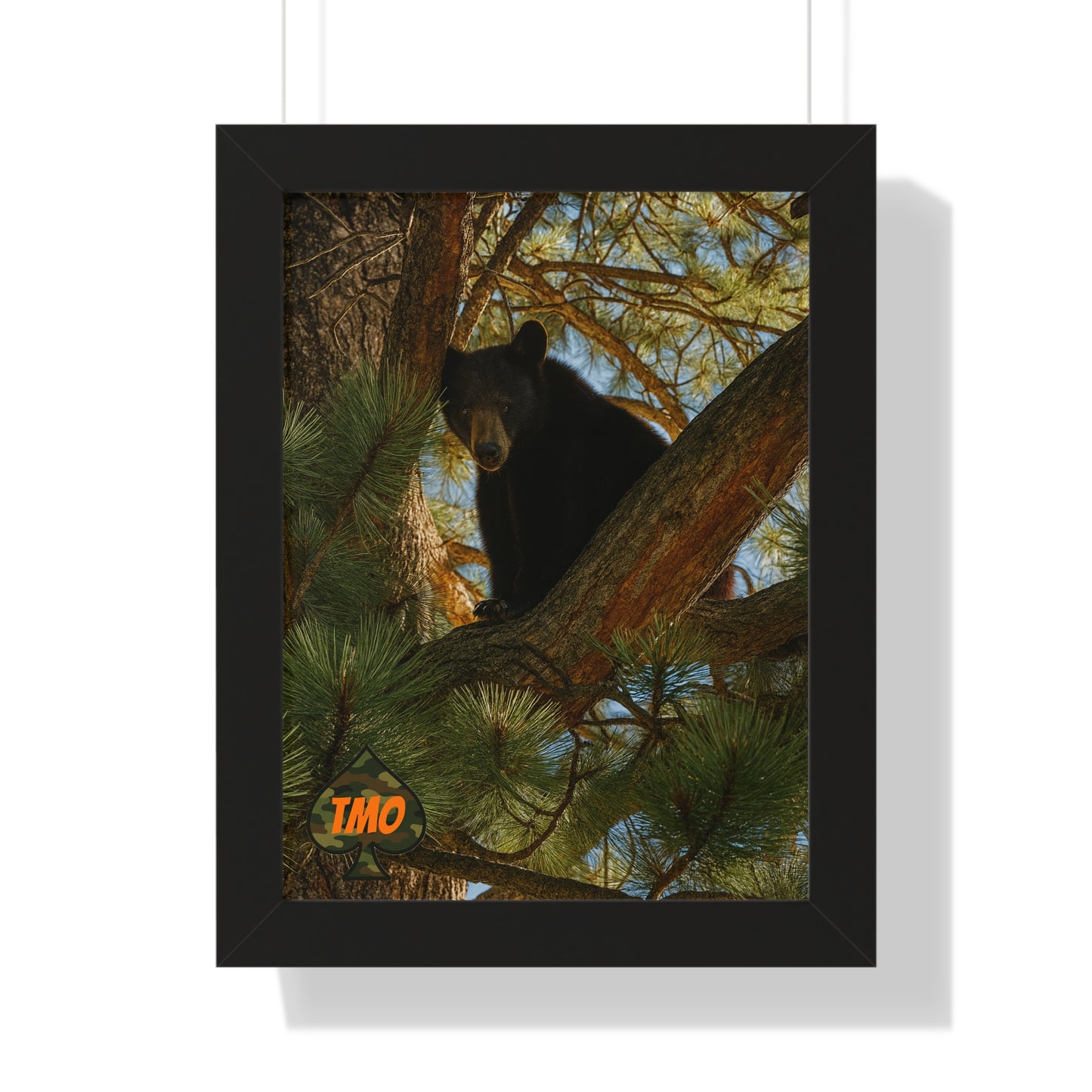TMO Tree Bear – Apex Outlaw Wall Art