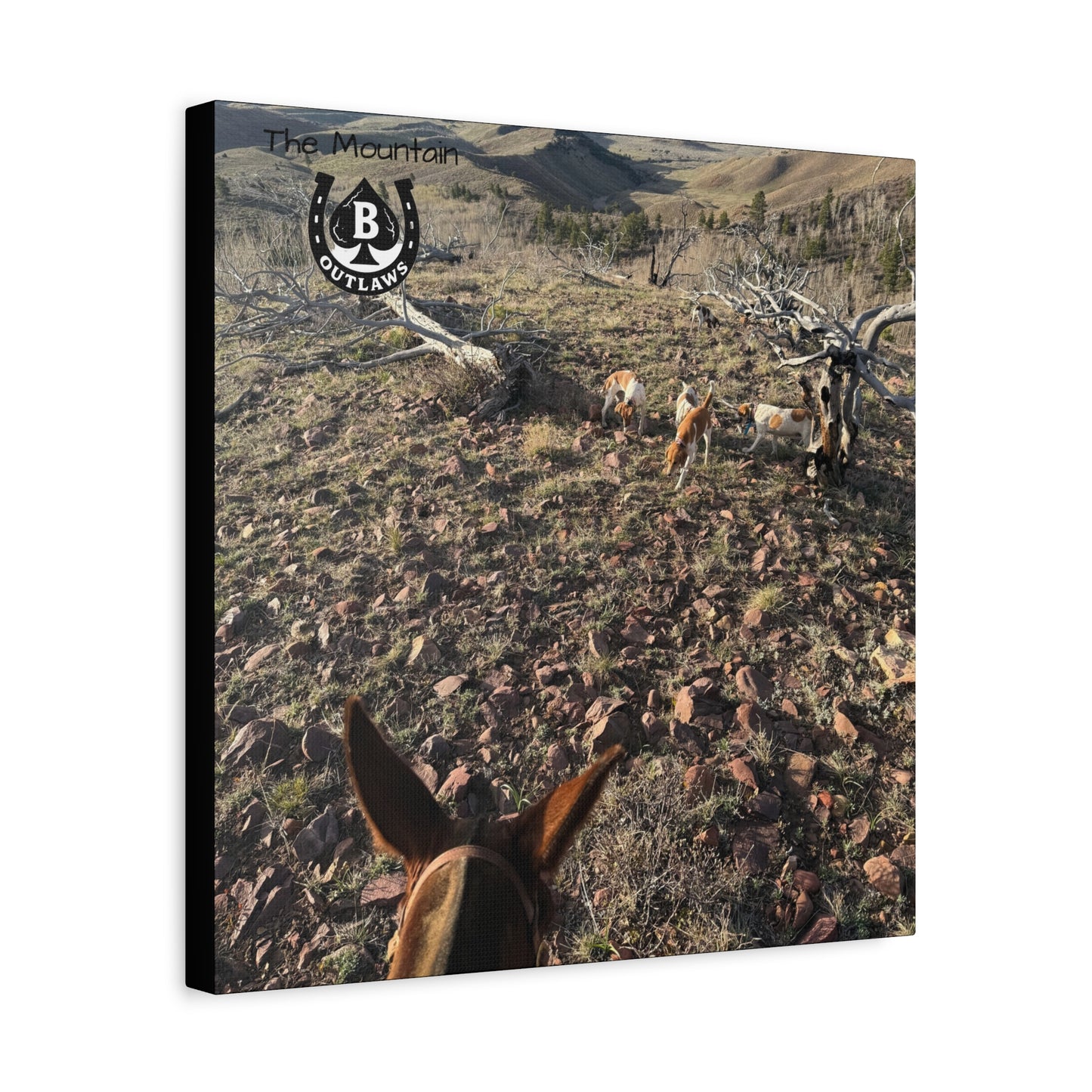 Below Timberline – The Mountain Collection