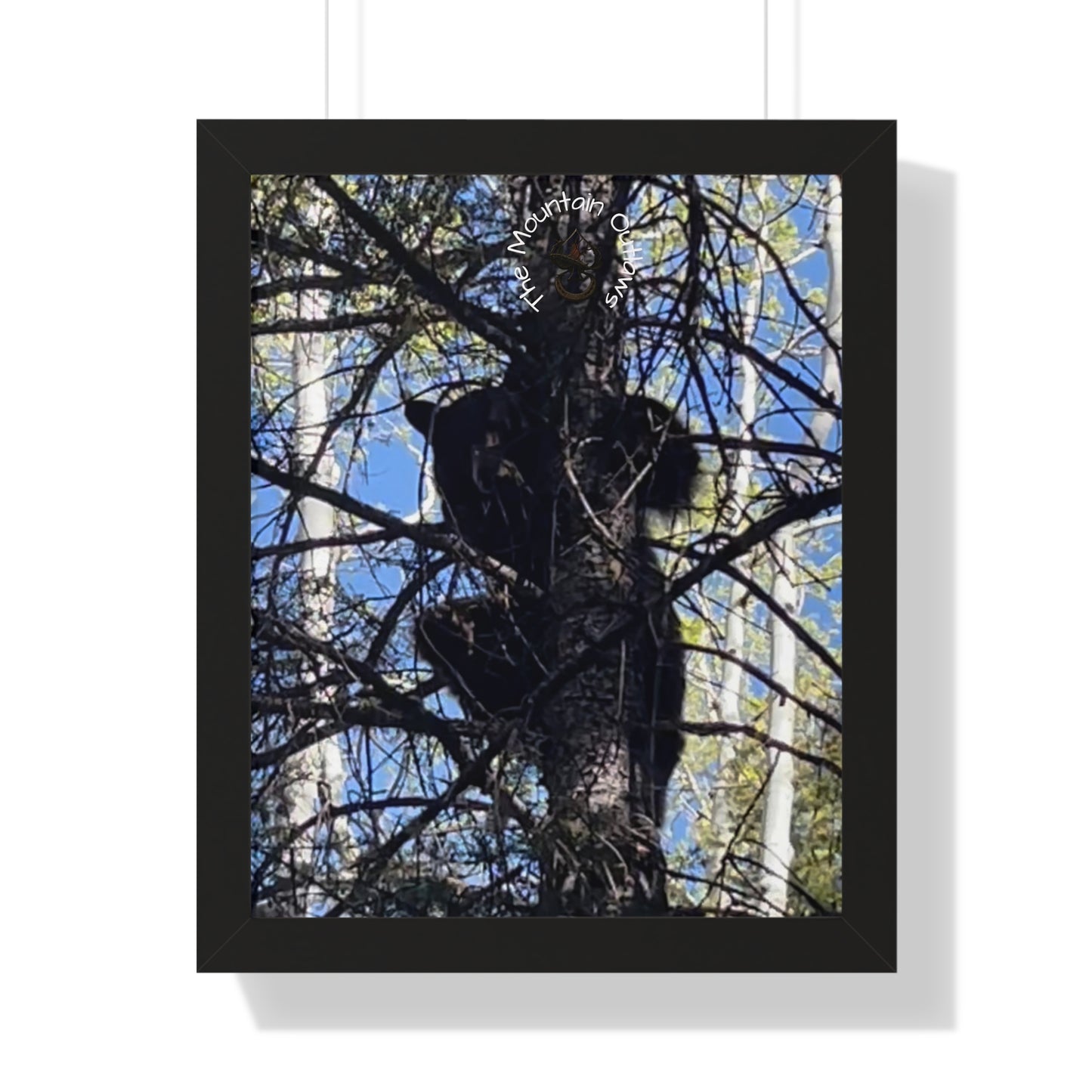 Crown of the Pines – Bear in the Canopy