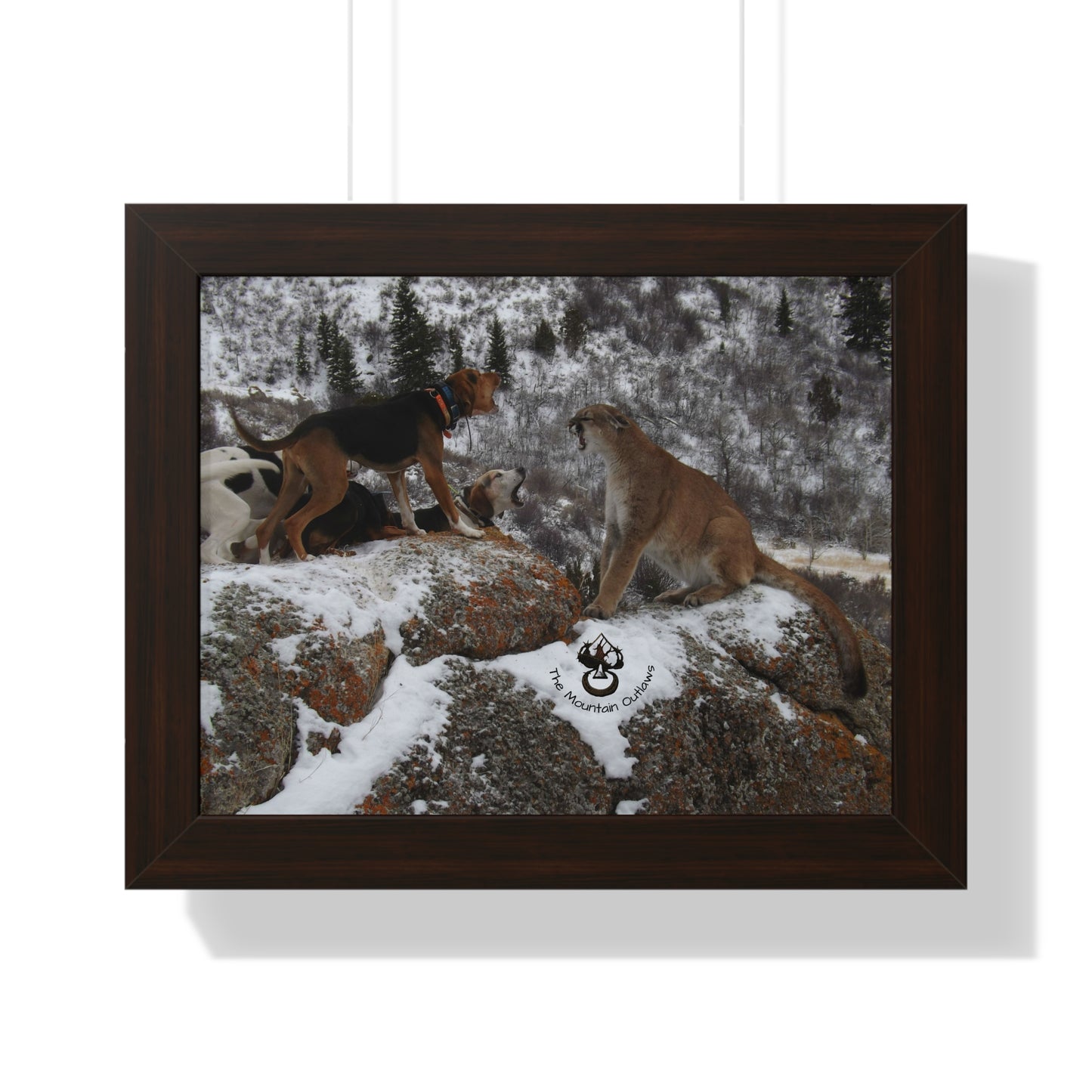“Stand Your Ground” – Mountain Lion + Hound Face-Off | B Bear Day
