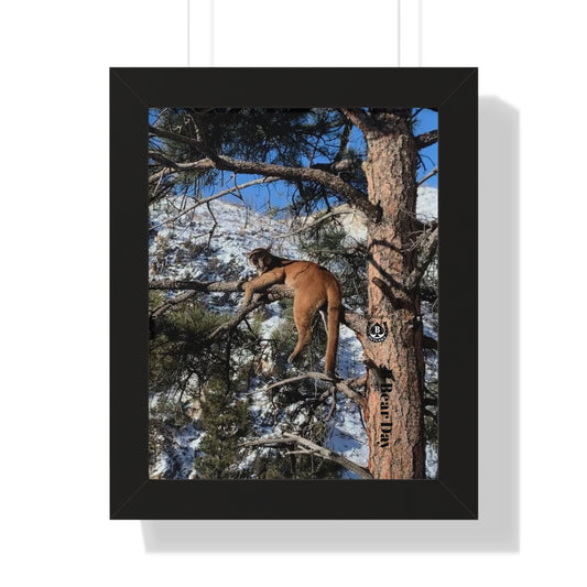 High Mark – The Mountain Collection