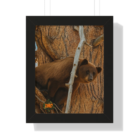 Tree Watcher – Wild Cinnamon Bear Print