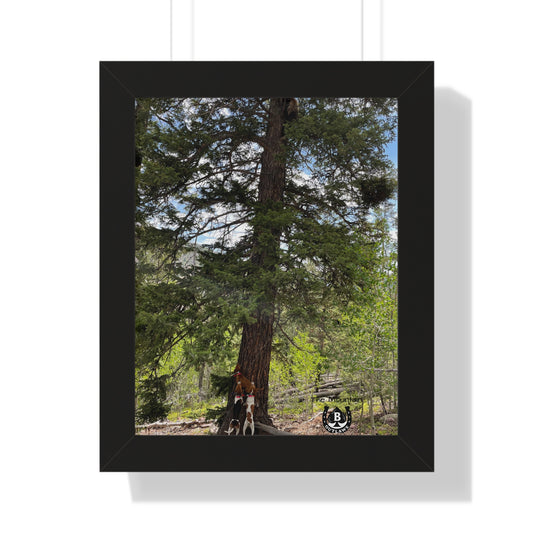 Tree Between Worlds – The Mountain Collection