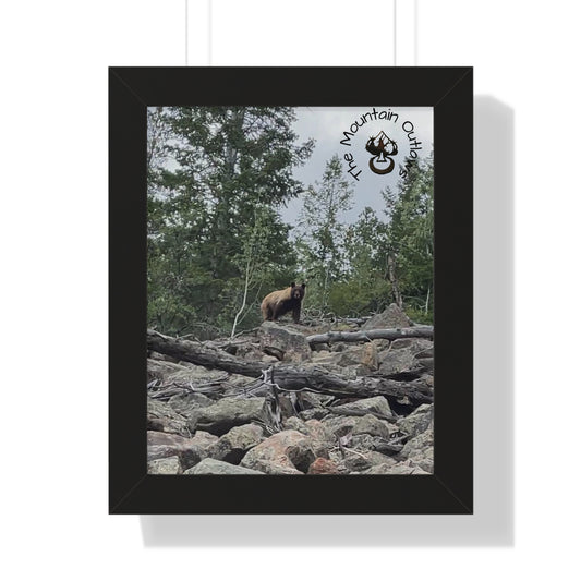 Deadwood Watch – Bear Country Static
