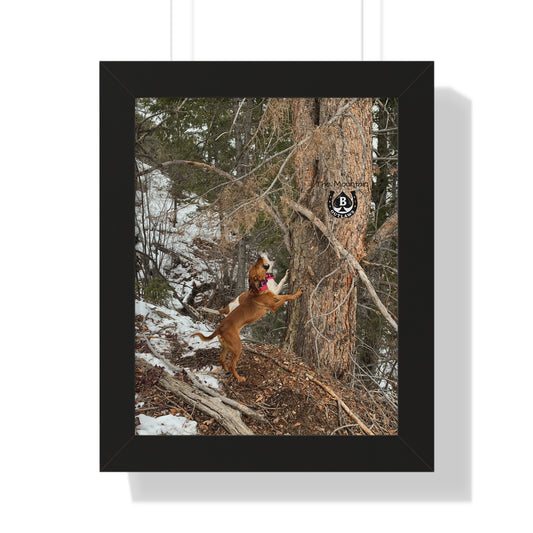 Spit & Timber – The Mountain Collection