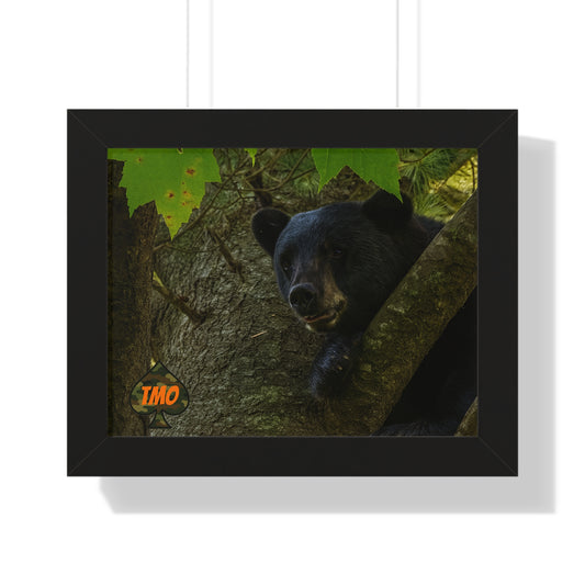 TMO Mountain Bear – Predator’s Rage Wall Art
