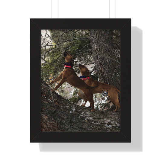 Sing the Tree – The Mountain Collection