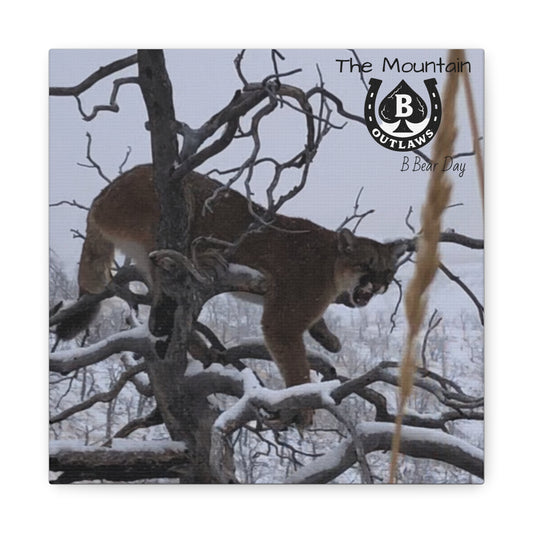 The Watcher – Apex in the Silence