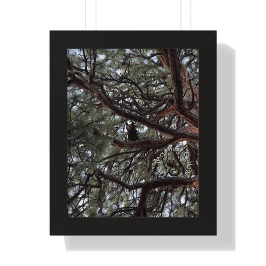 High Noon in the Pines – Bear & the Branches