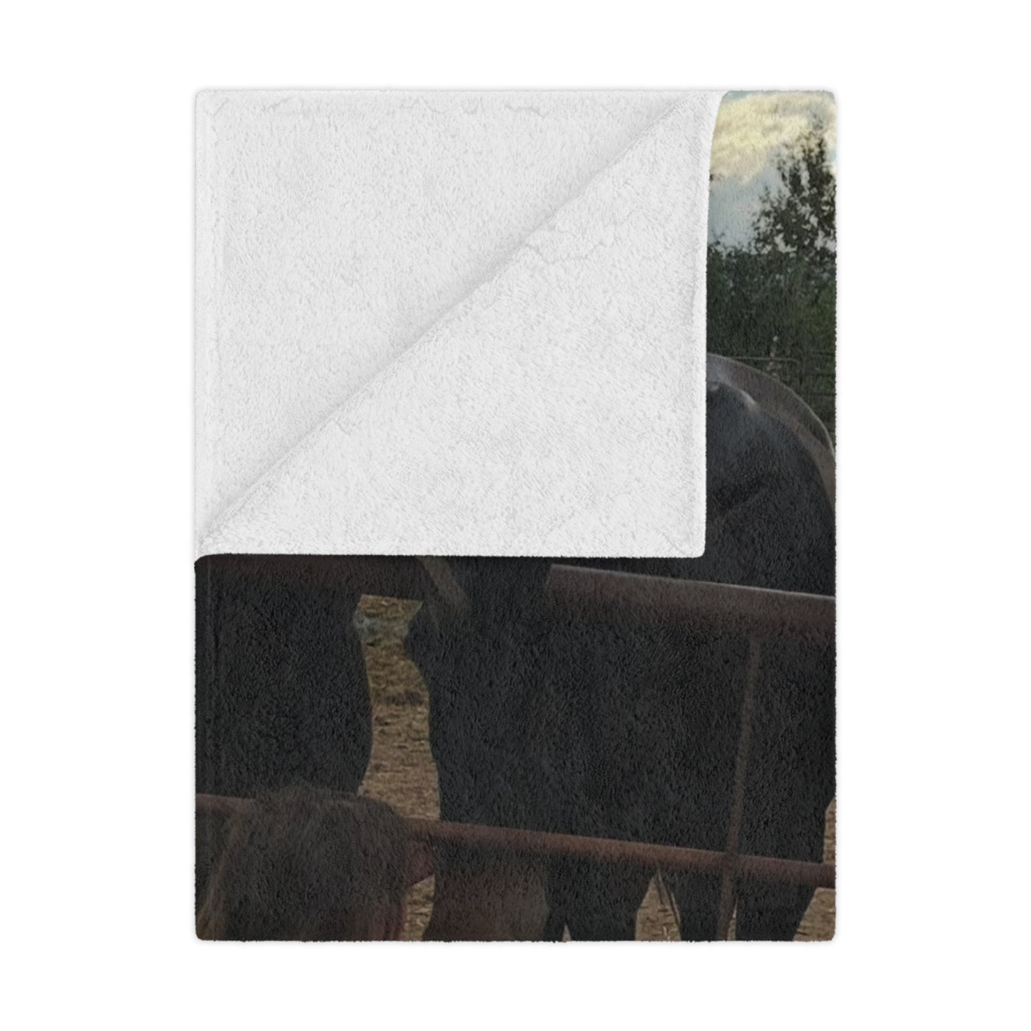 Cozy Minky Blanket with Heartwarming Dog Design, Gate Greeters Blanket – Mule & Mustang Edition