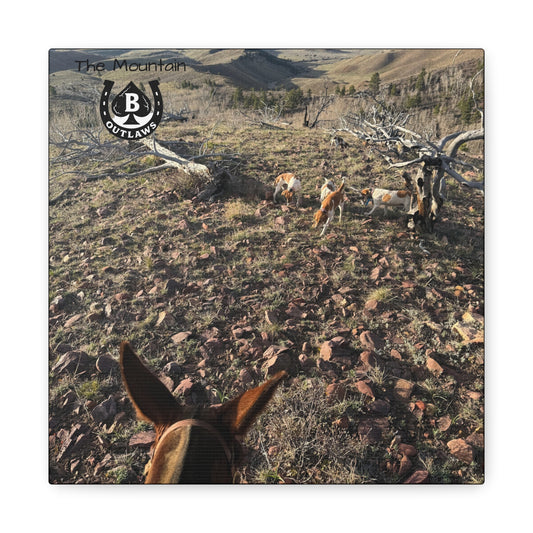 Below Timberline – The Mountain Collection
