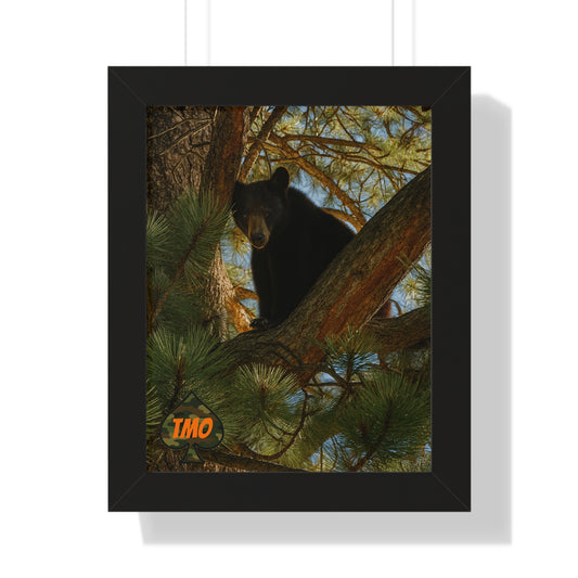 TMO Tree Bear – Apex Outlaw Wall Art