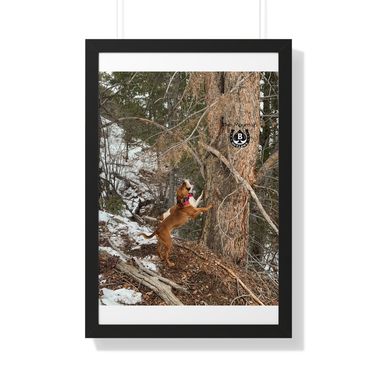 Spit & Timber – The Mountain Collection