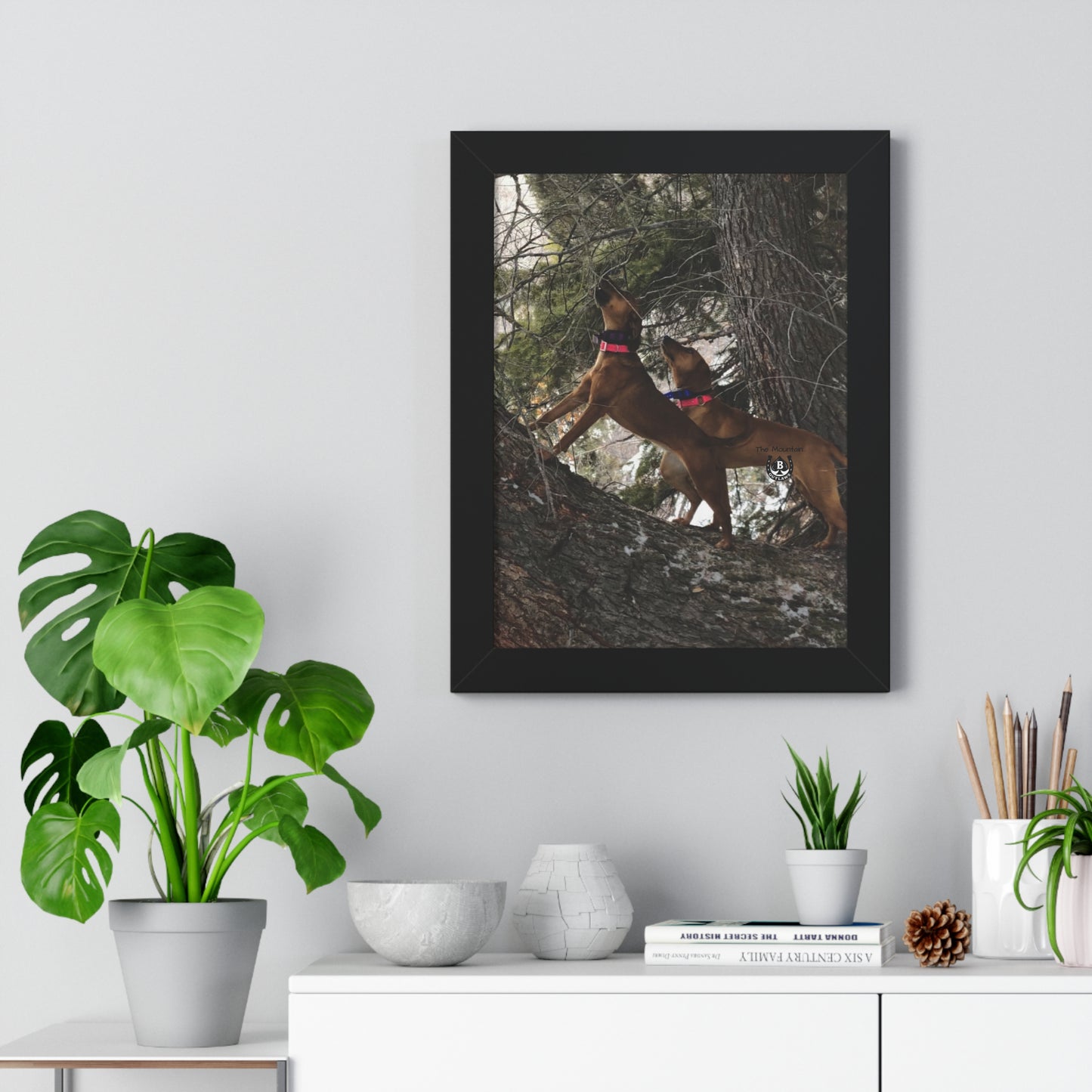 Sing the Tree – The Mountain Collection