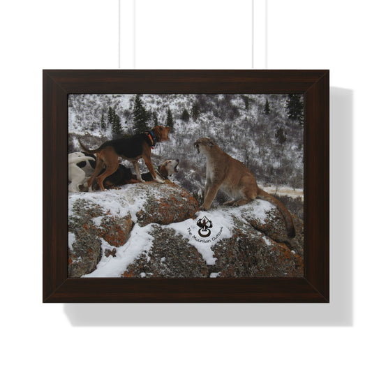 “Stand Your Ground” – Mountain Lion + Hound Face-Off | B Bear Day